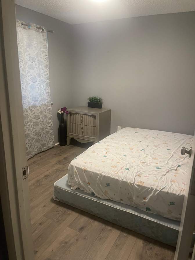 Mitshe Totaan's room
