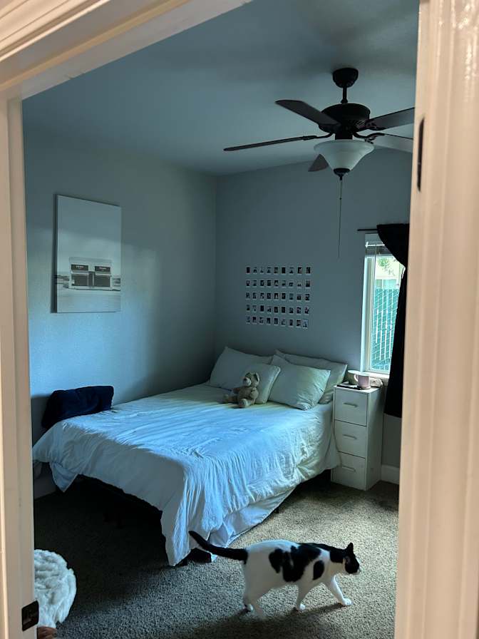 Jenn's room