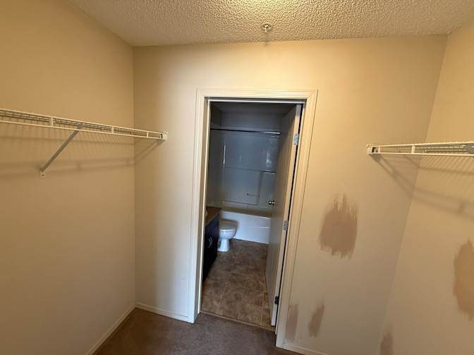 Ryan's room