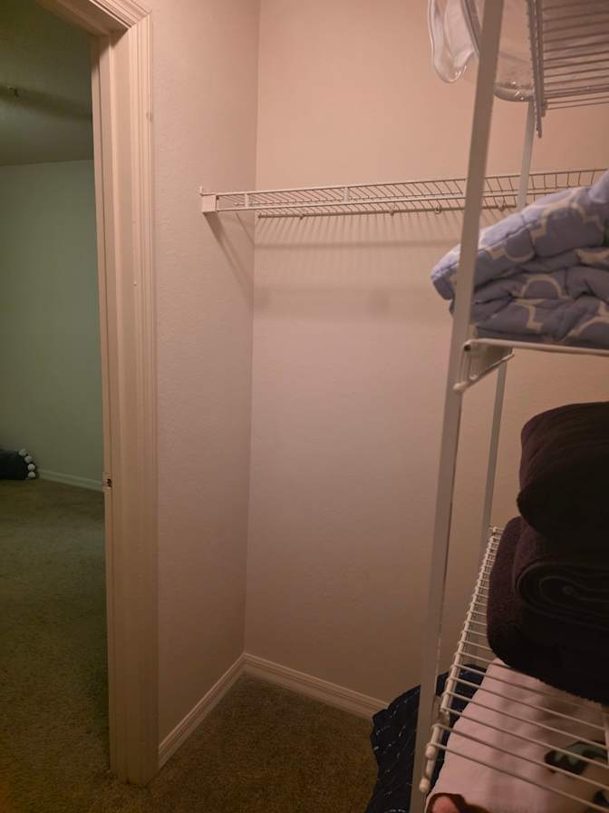 Cat's room