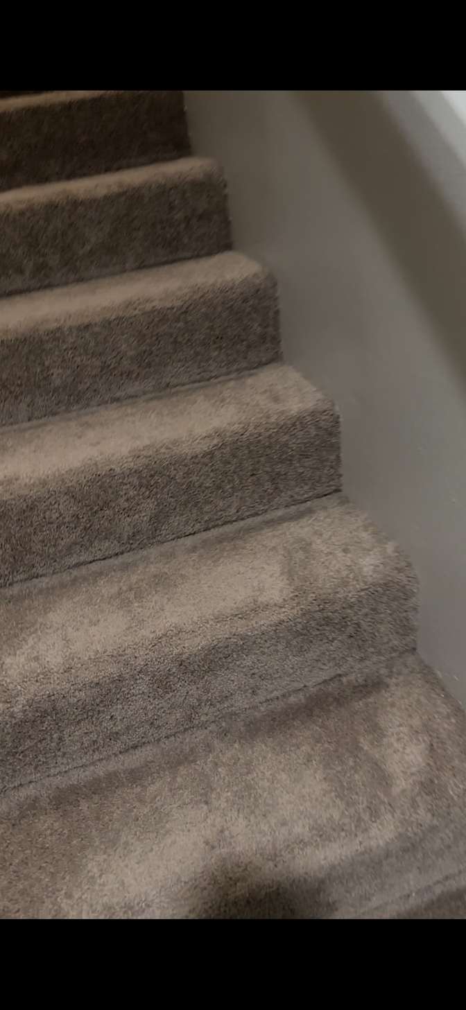 Joiee's room
