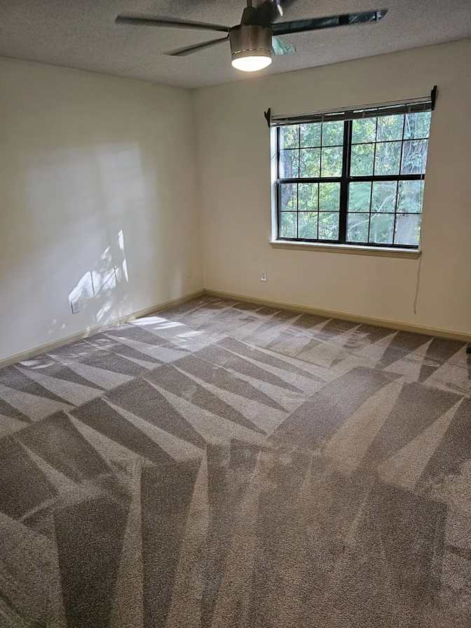 Mary's room