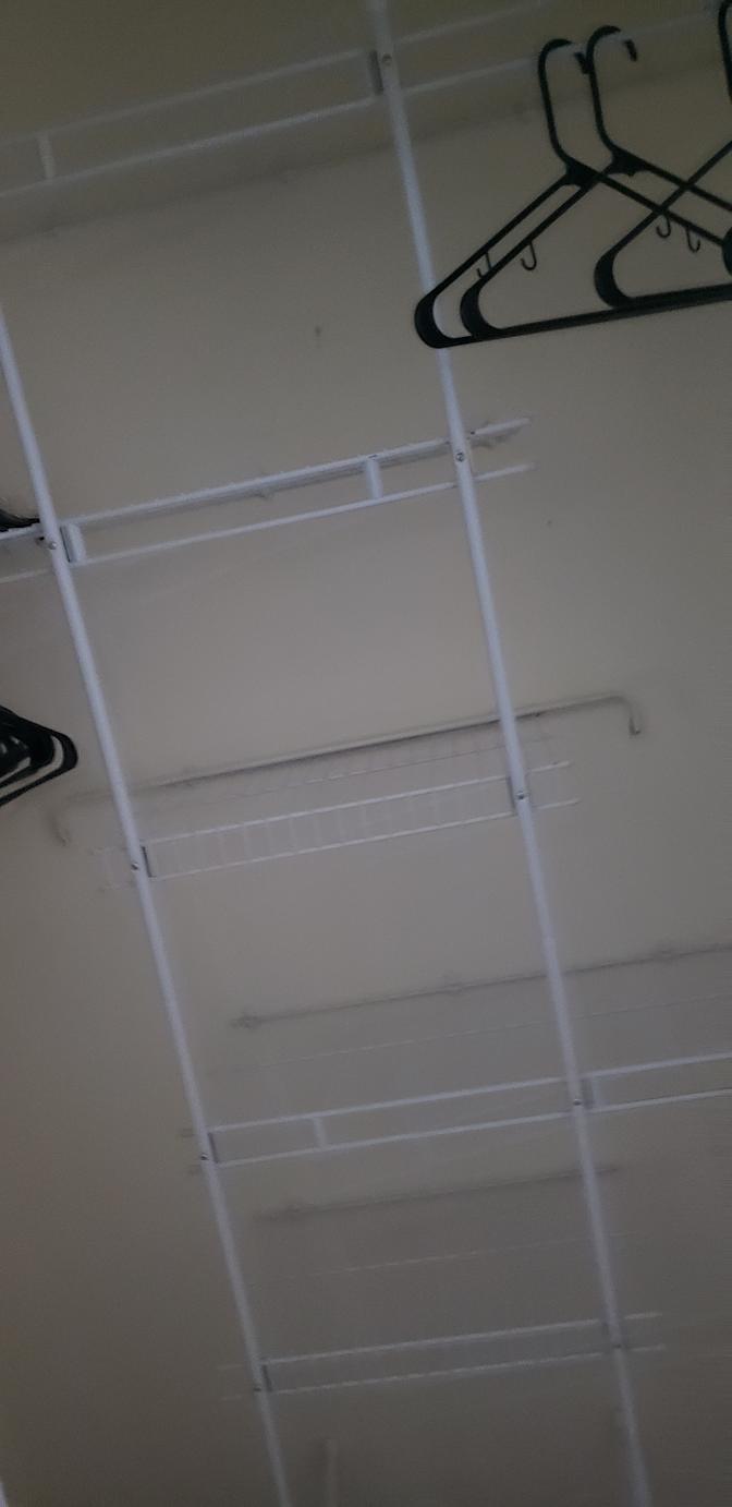 Shawn's room