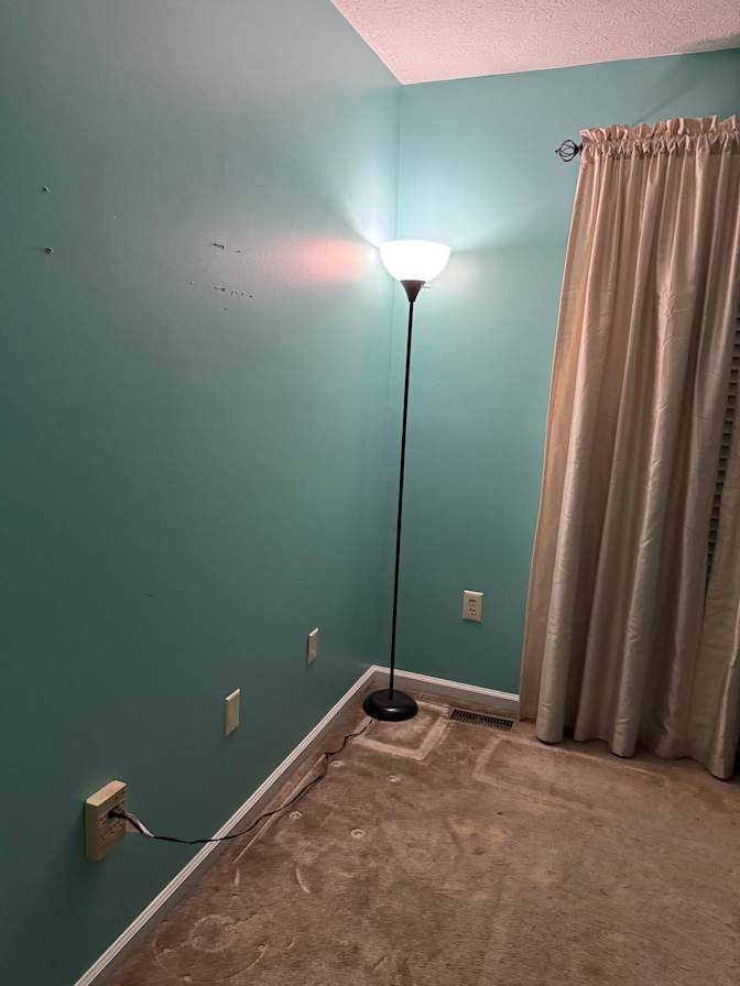 Filly's room