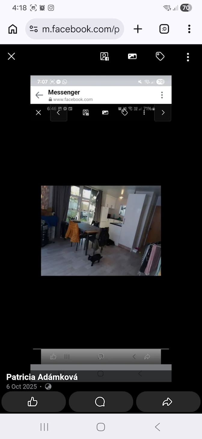 patricia adamkova's room