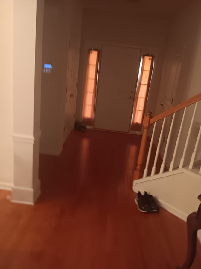 Joey kaminowitz's room