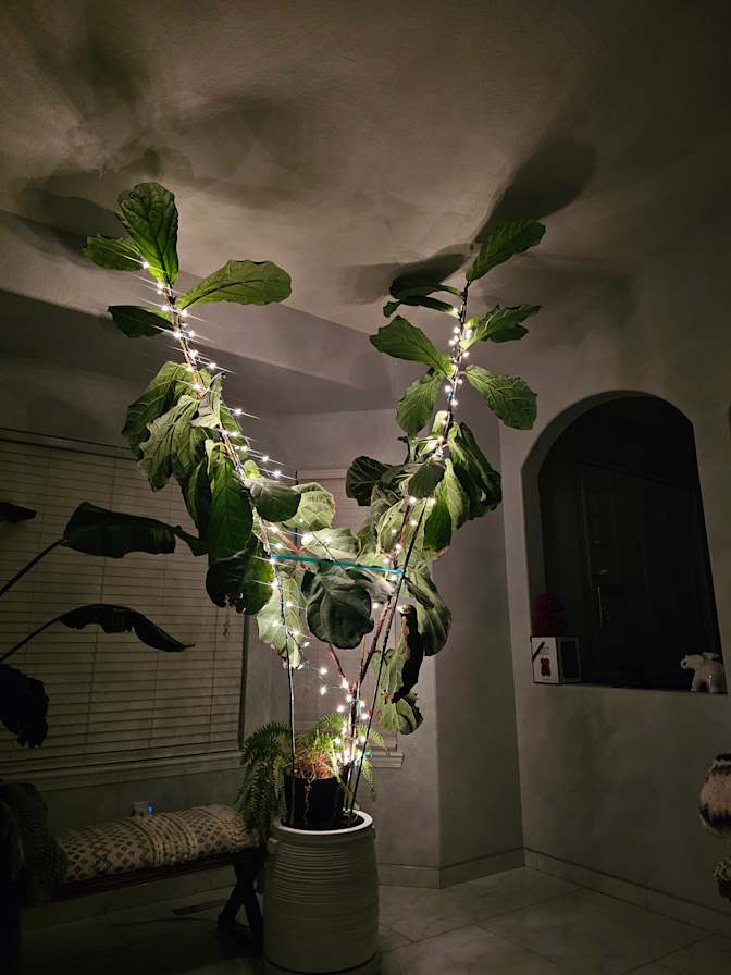 Byron's room