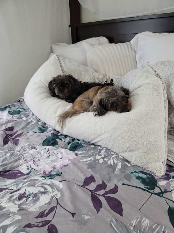 Caren's room
