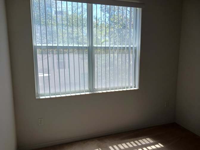 Roberto's room