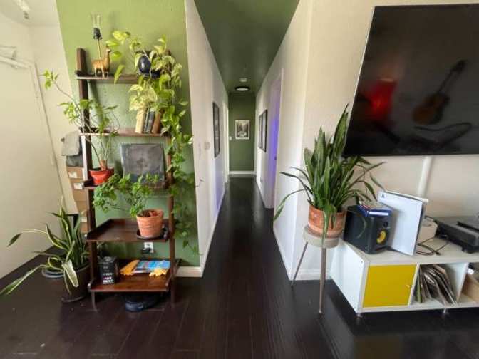 Sharon's room
