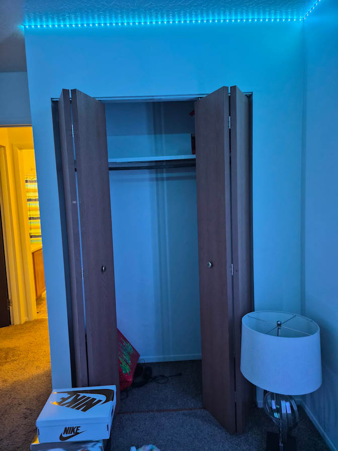 Sophia's room