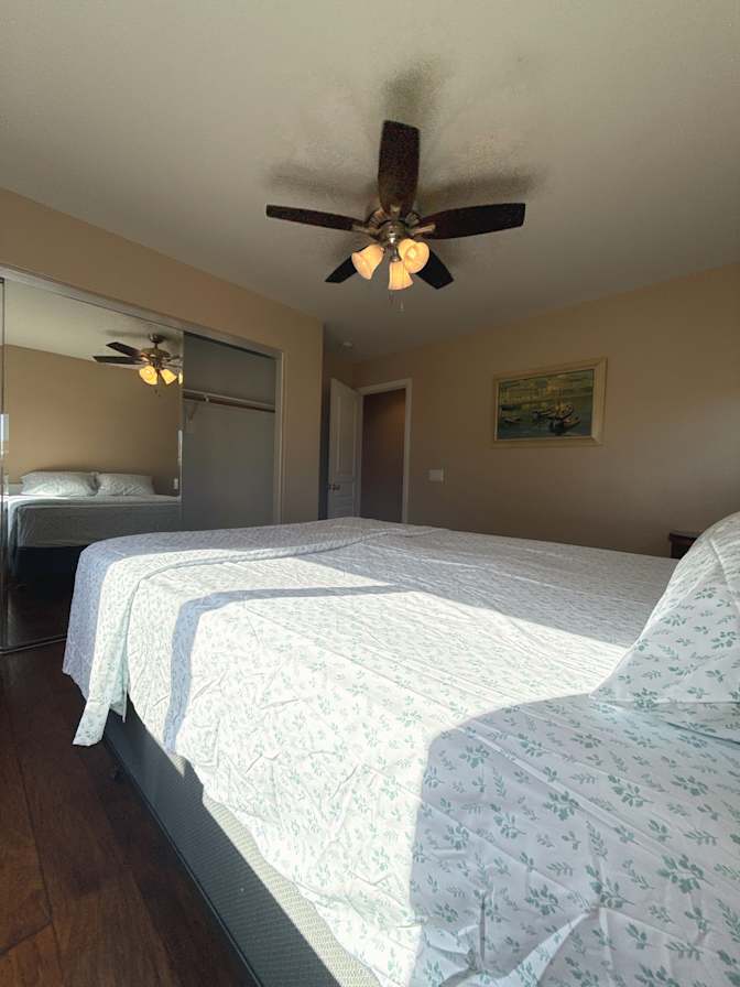 maggie's room