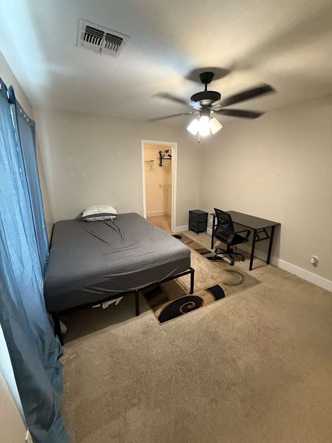 Roomly's room