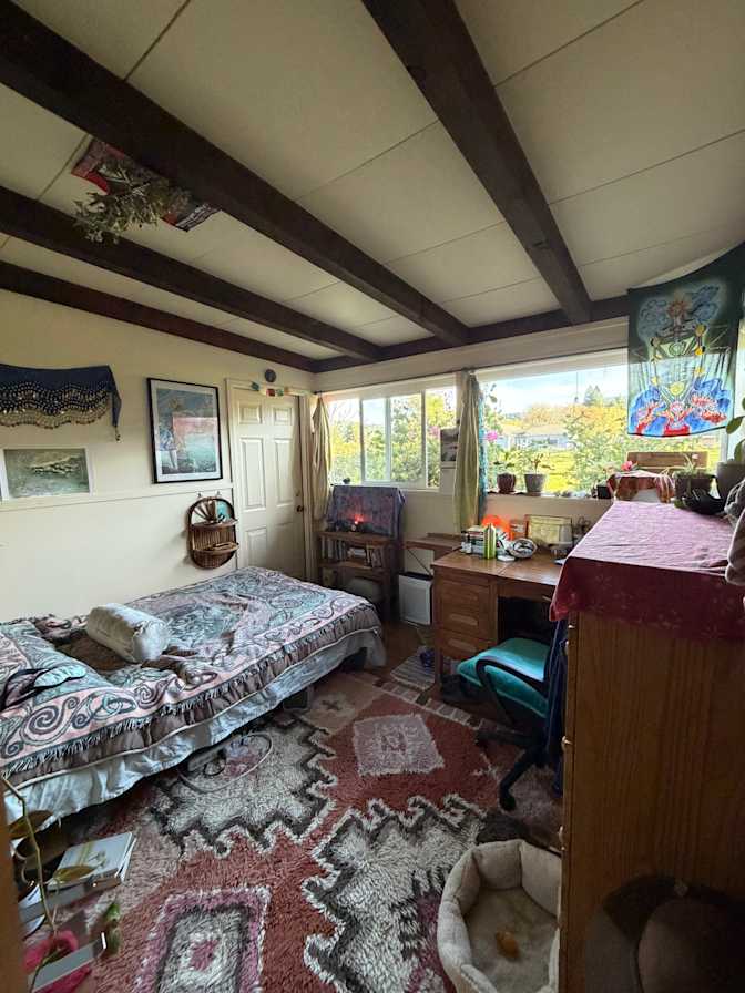 Irelynn's room