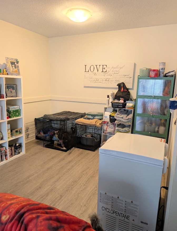 Shaz's room