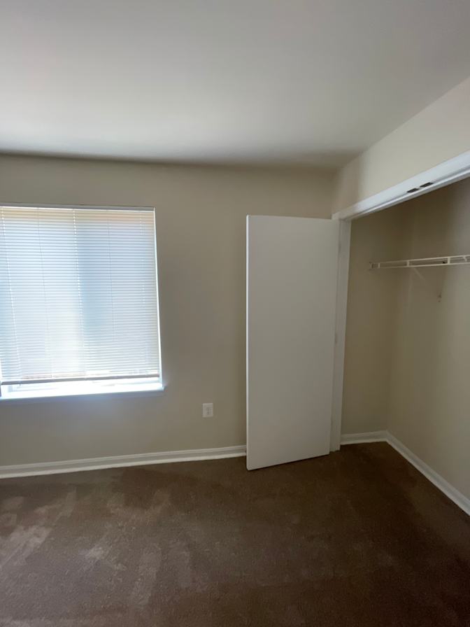 Loui's room