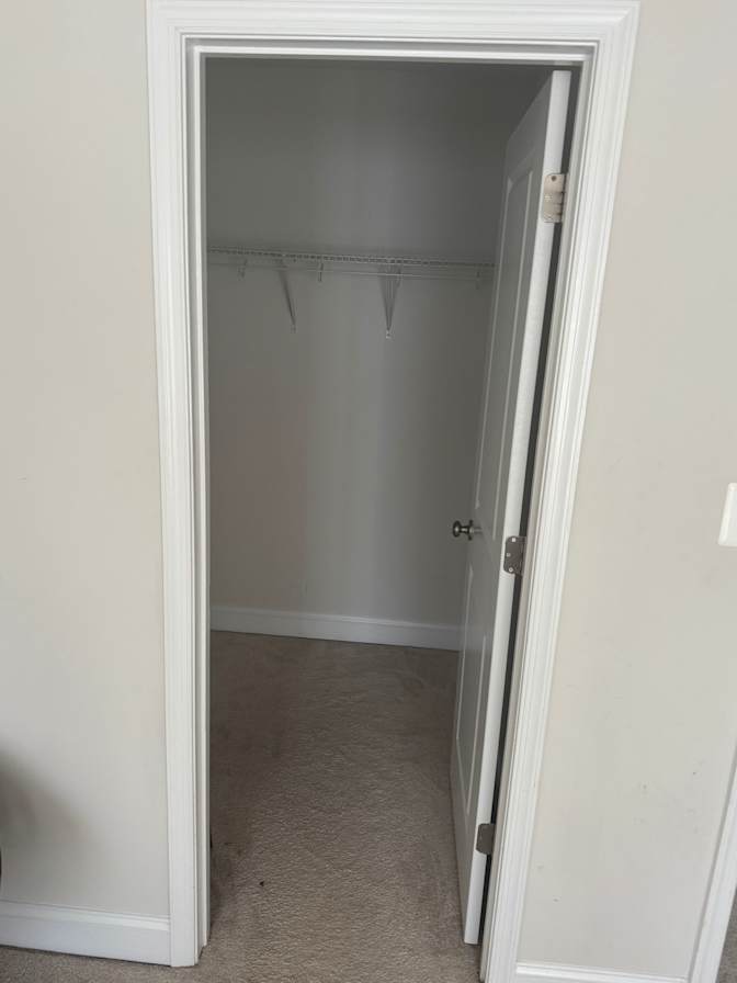Tely's room