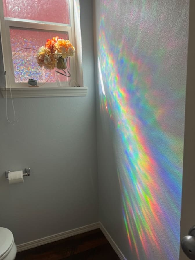 Andea Paxton's room