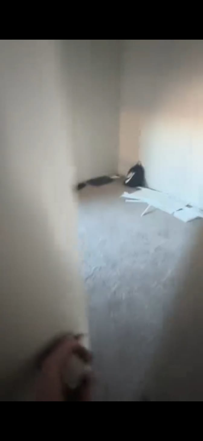 Madison's room