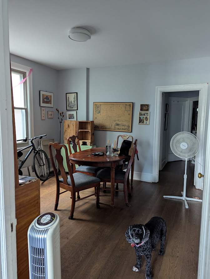 Mackenzie Lavender's room