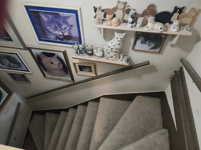 Norma's room