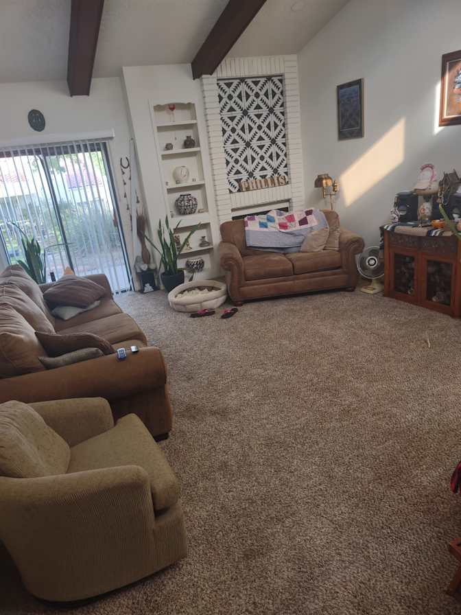 Shelly's room