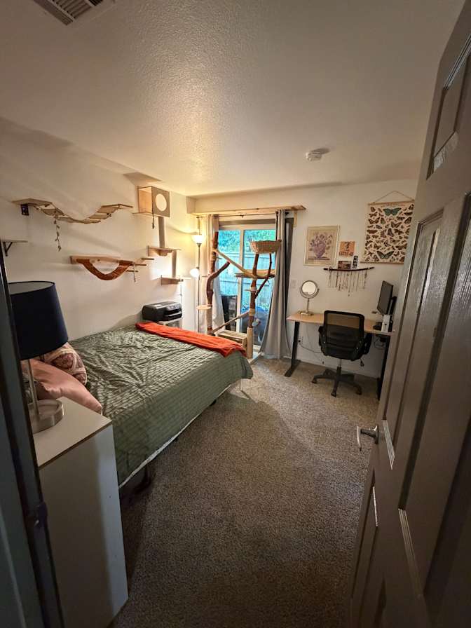 London's room