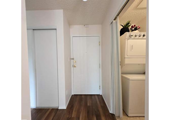 Todd's room