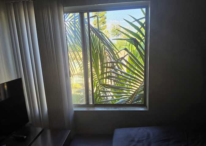 ARTHUR BRANDALIS's room