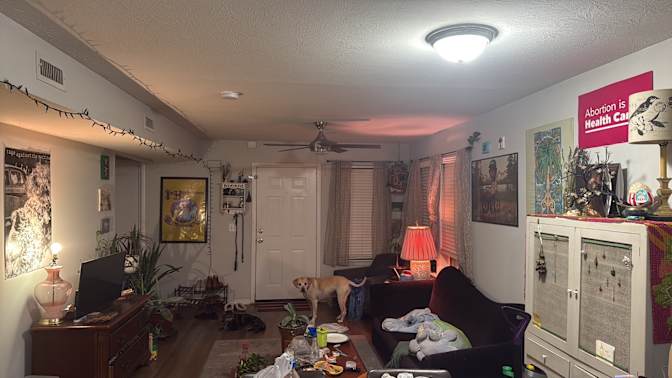 Jenny's room