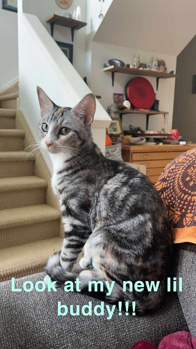 Trisha Neville's room