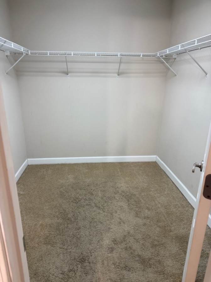 Krista's room