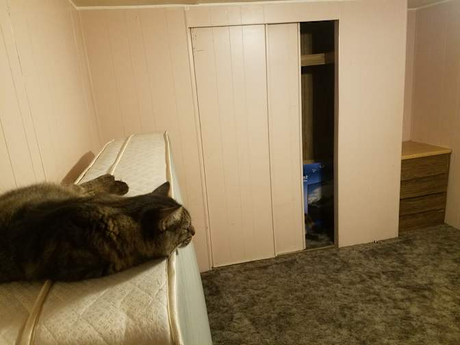 Daniel's room