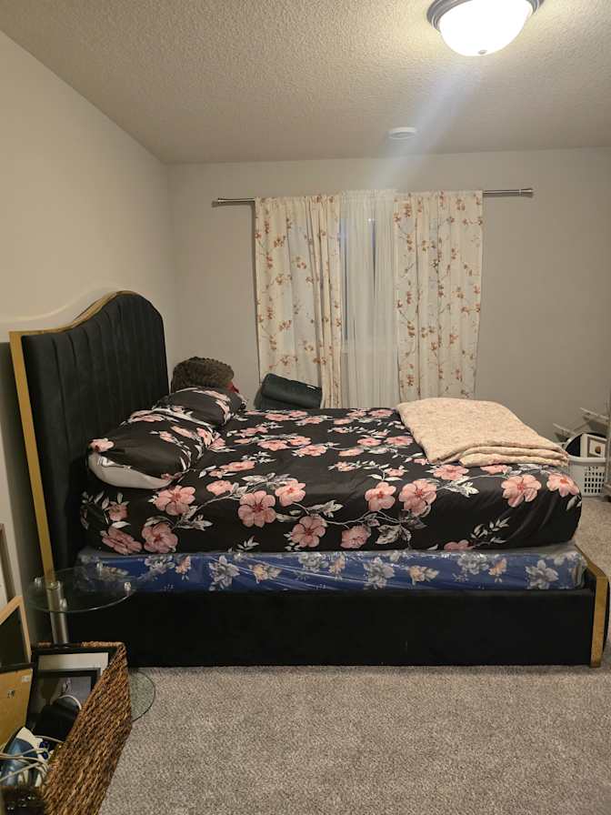 Massa Harris's room