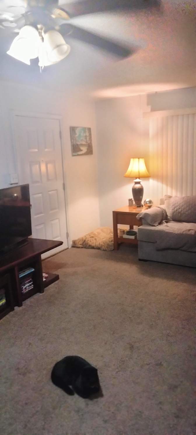 Joshua's room