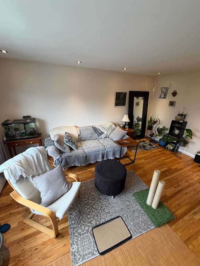 Dan's room