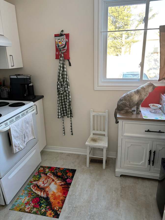 Charlotte's room