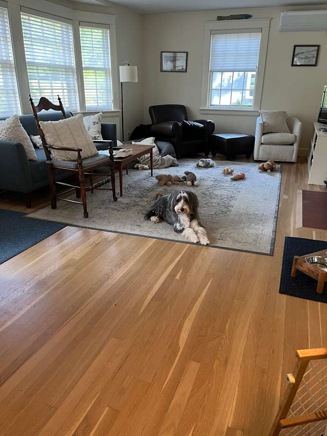 Laura's room