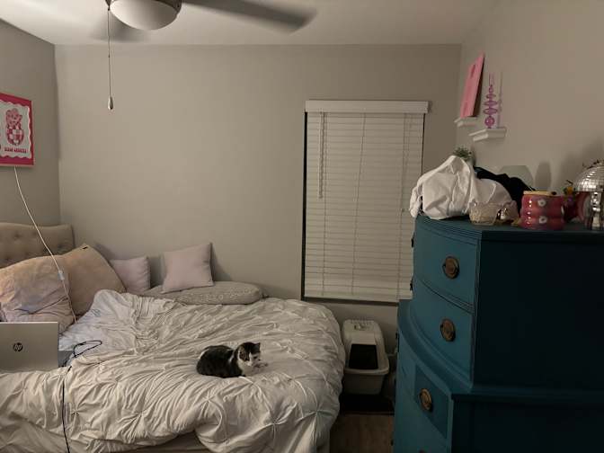 Paulina's room