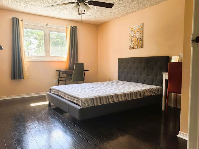 Elaine's room