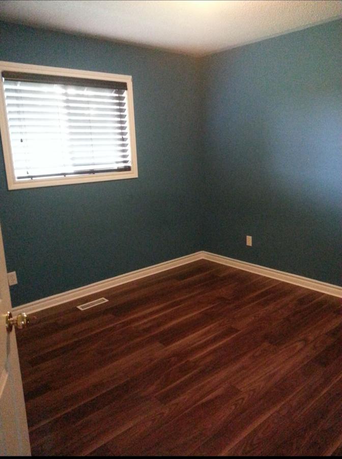 Shawn's room