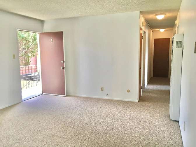 Neil's room