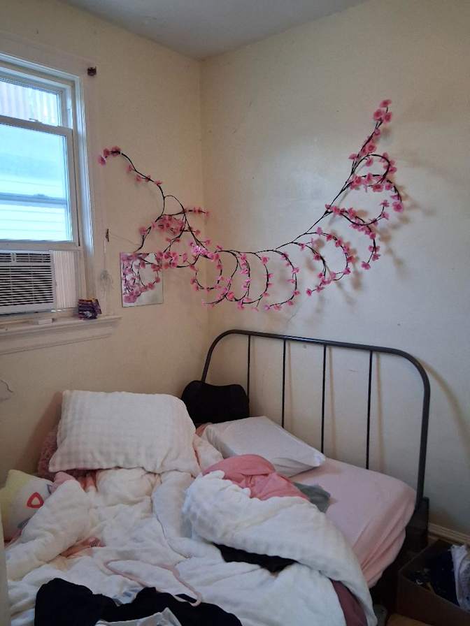 Lucas's room