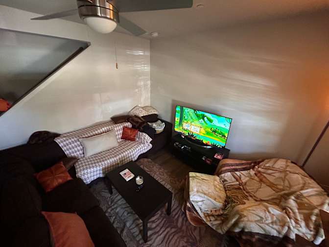 Ifeoma Ugeh's room