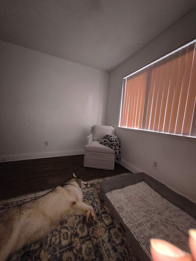 Joe Dee's room