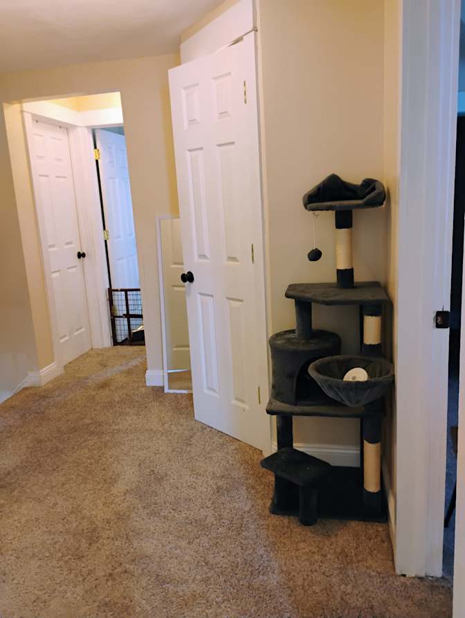 Kyla's room