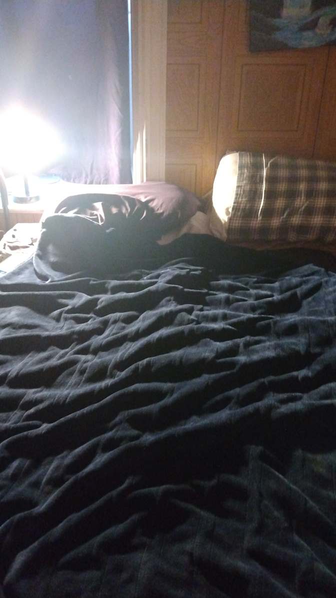 Cat Pasquale's room
