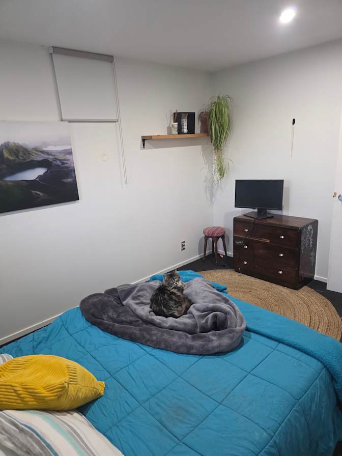 Carly's room