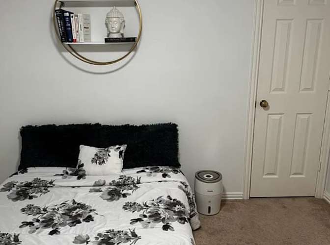 Kelvin D's room