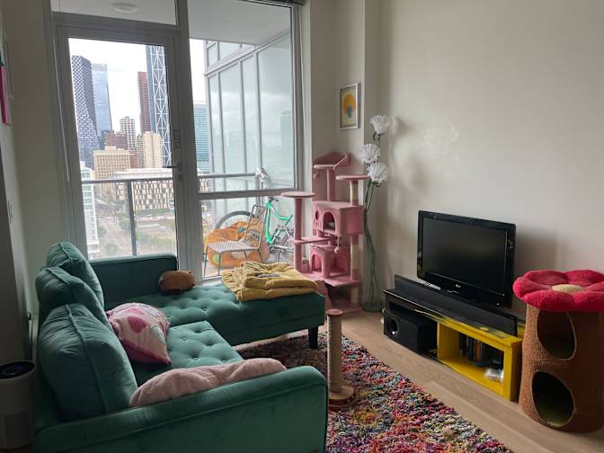 Alison Elewa's room